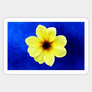 Yellow Dahlia Flower Sticker